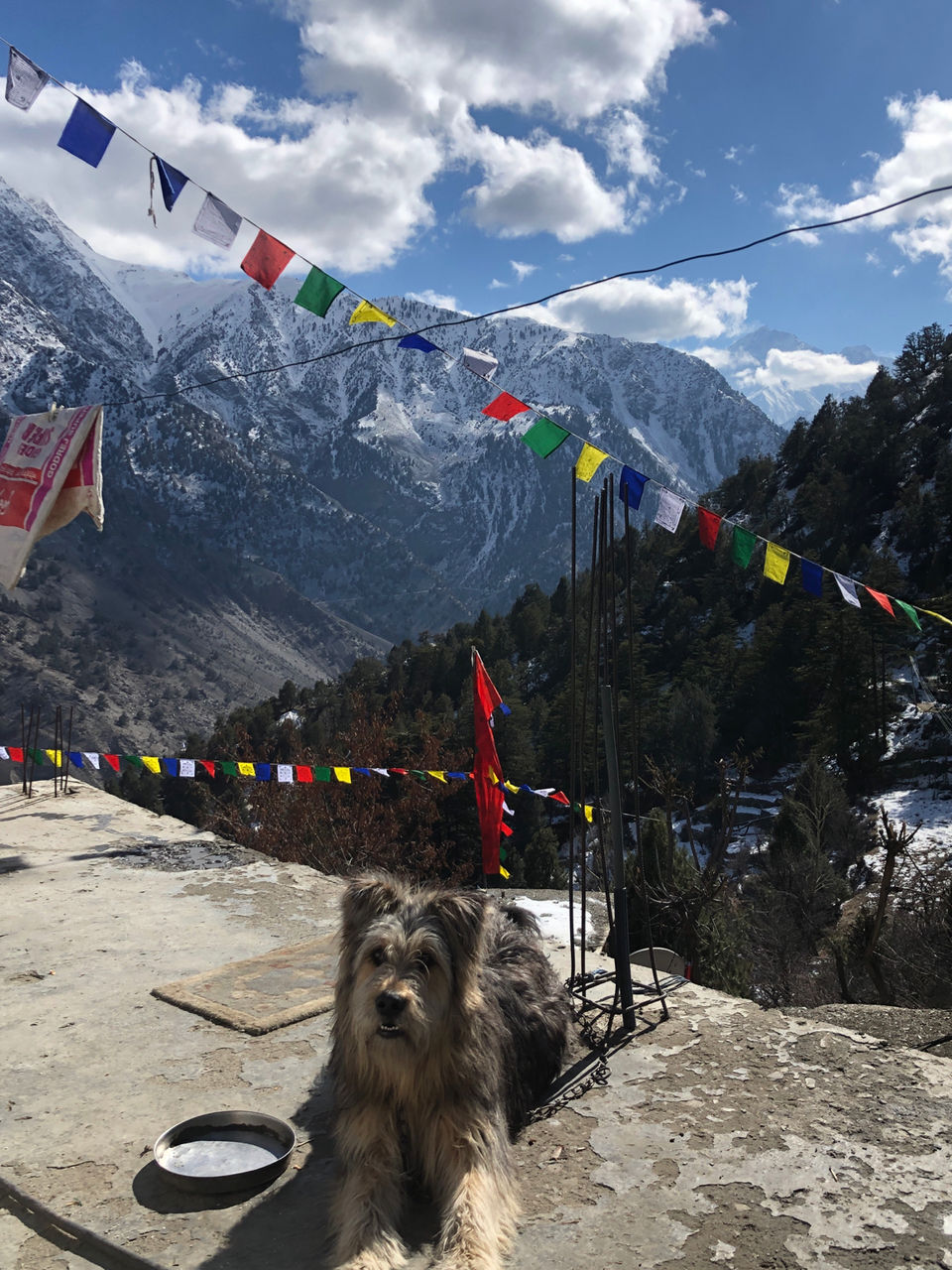 Photo of Winter Spiti: An Experience Of Lifetime by Gagan Bains