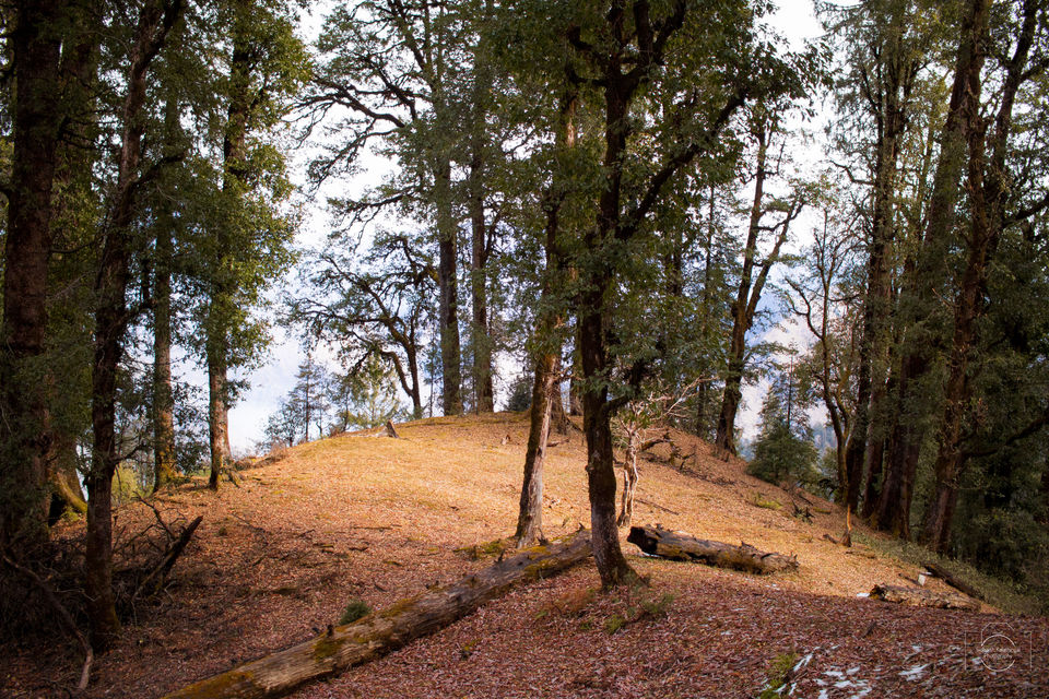 Photo of A child's dream filled with snow - The trek to Kedarkantha. by Sidharth K