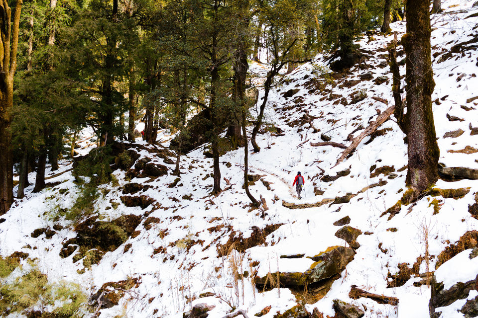 Photo of A child's dream filled with snow - The trek to Kedarkantha. by Sidharth K