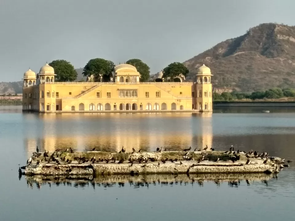 Photo of Jal Mahal, Jaipur, Rajasthan, India by Ritika Agarwal