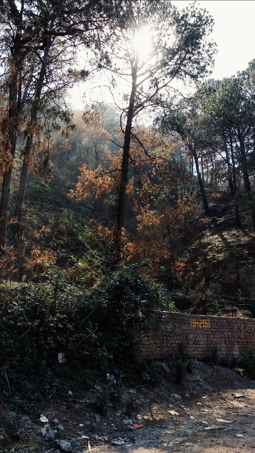 Photo of Found and Lost | The Lost Waterfall of Dhamun. by Aakash