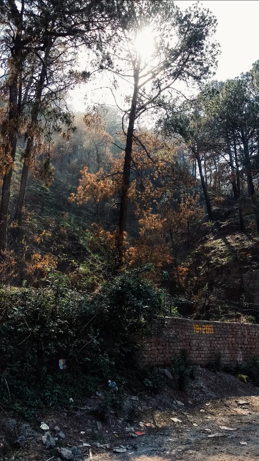 Photo of Found and Lost | The Lost Waterfall of Dhamun. by Aakash