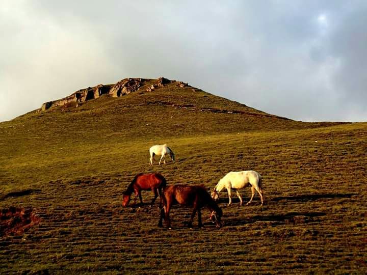 Photo of Pathar Nachuni, Uttarakhand, India by Nishchay Tewari
