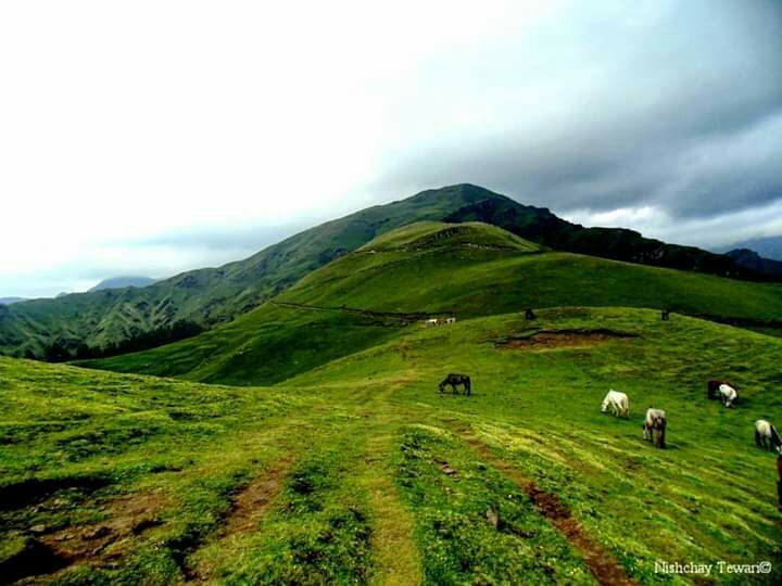 Photo of Pathar Nachuni, Uttarakhand, India by Nishchay Tewari