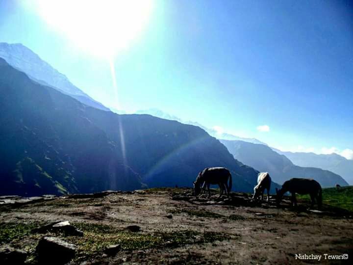 Photo of Bhagwa Basa, Roopkund Trail, Uttarakhand, India by Nishchay Tewari