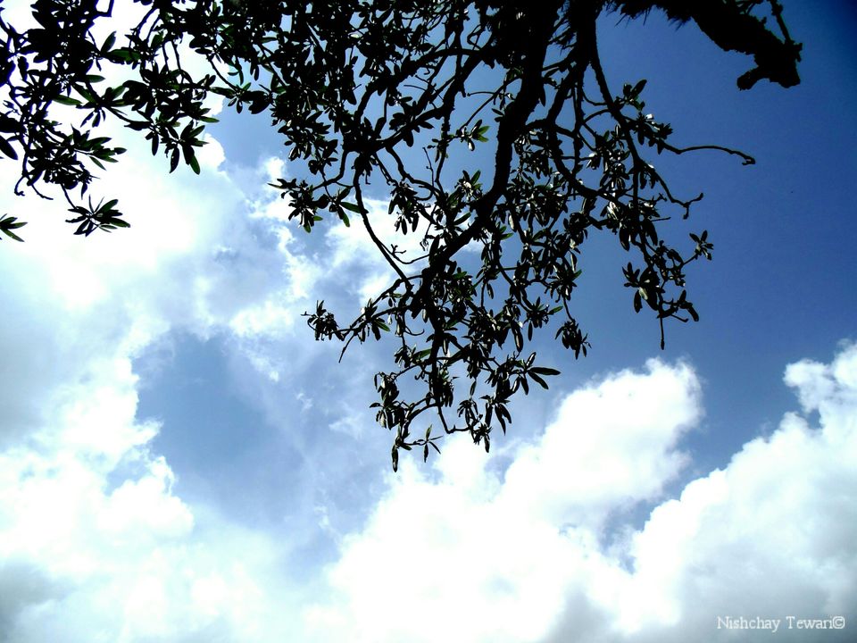 Photo of Wan, Chamoli, Uttarakhand, India by Nishchay Tewari