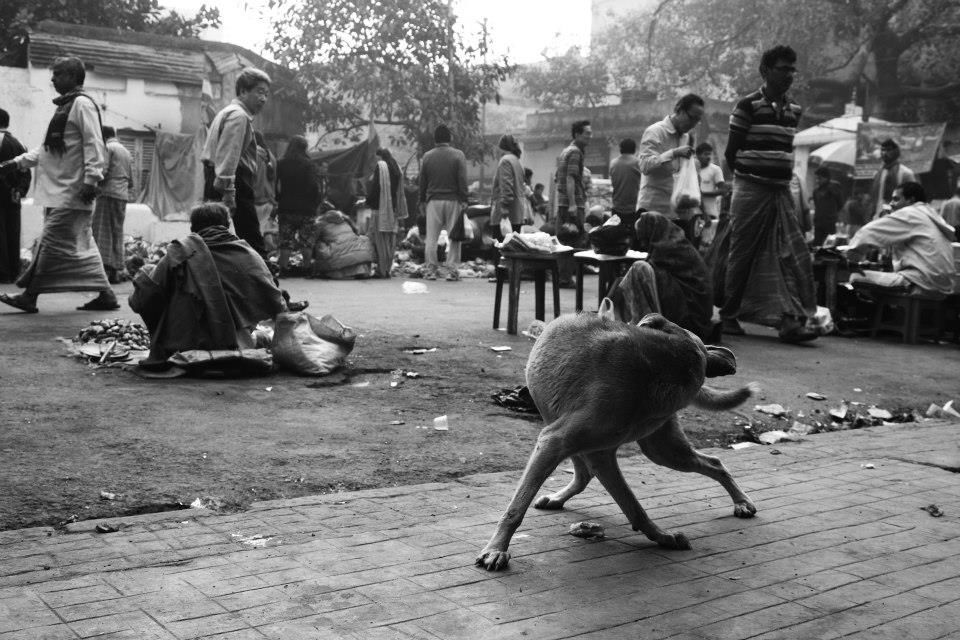 Photo of Kolkata's Culinary Secrets 4/5 by Sarbajaya Bhattacharya