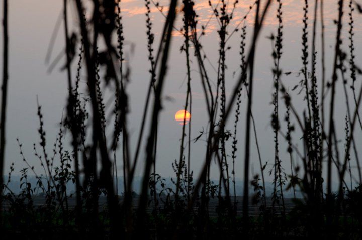 Photo of Travels in Mallarpur: The Middle of Nowhere 1/5 by Sarbajaya Bhattacharya
