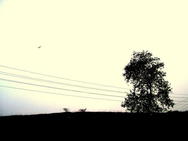 Photo of The abode of peace 1/6 by Sarbajaya Bhattacharya