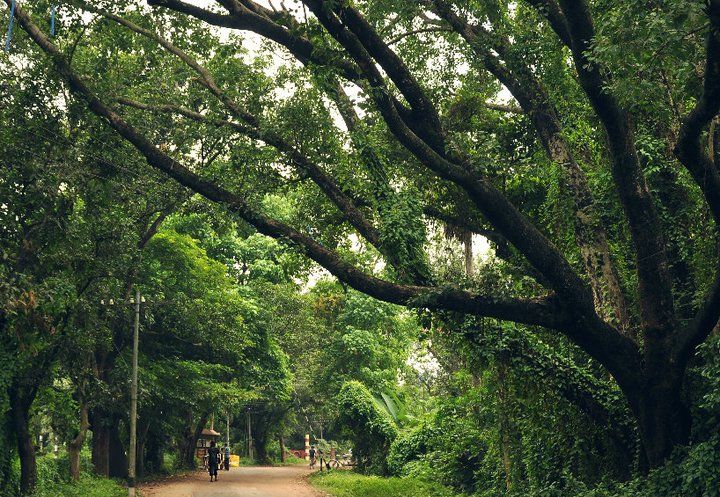 Photo of The abode of peace 4/6 by Sarbajaya Bhattacharya