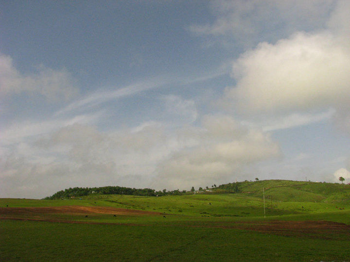 Photo of Up and away in Shillong 3/5 by Sarbajaya Bhattacharya