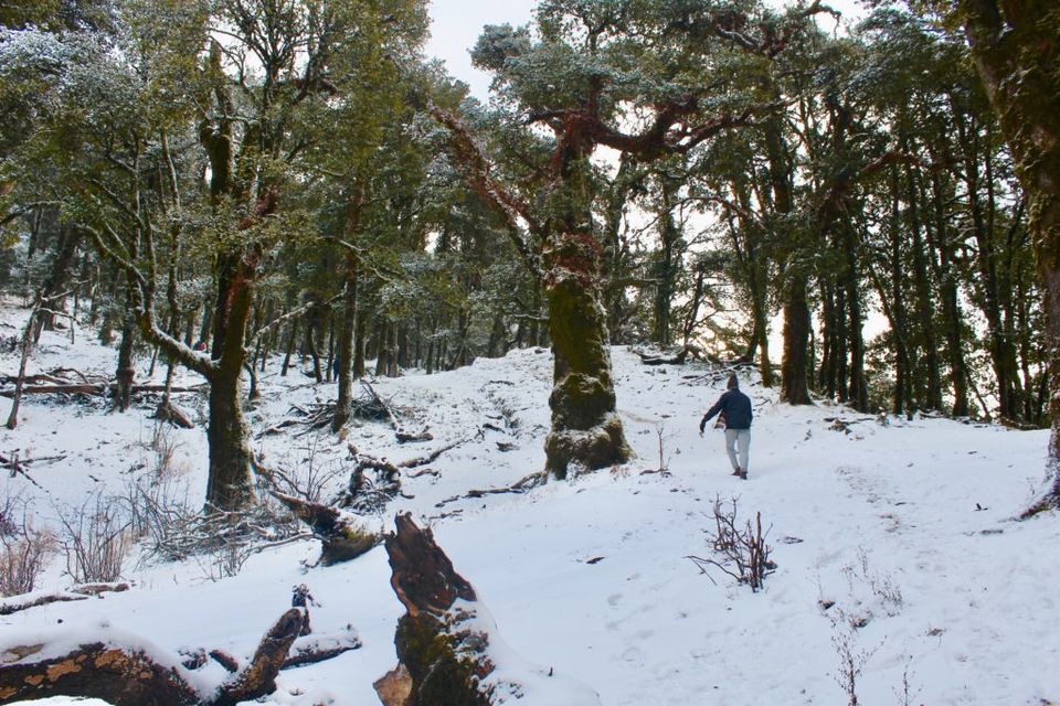 Photo of An Ultimate Guide to the Nag Tibba Trek - 2itchyfeets by 2itchyfeets