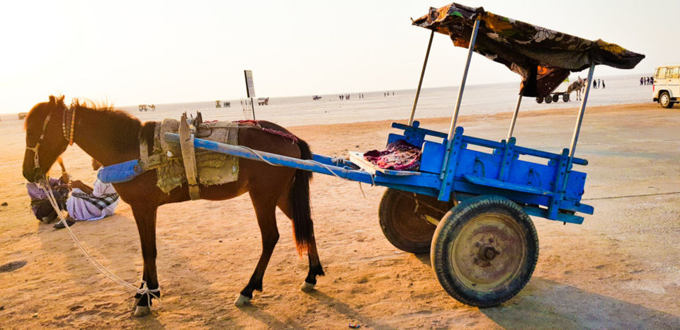 Photo of Kutch nhi dekha toh kuch nhi dekha!! 15/23 by 2itchyfeets