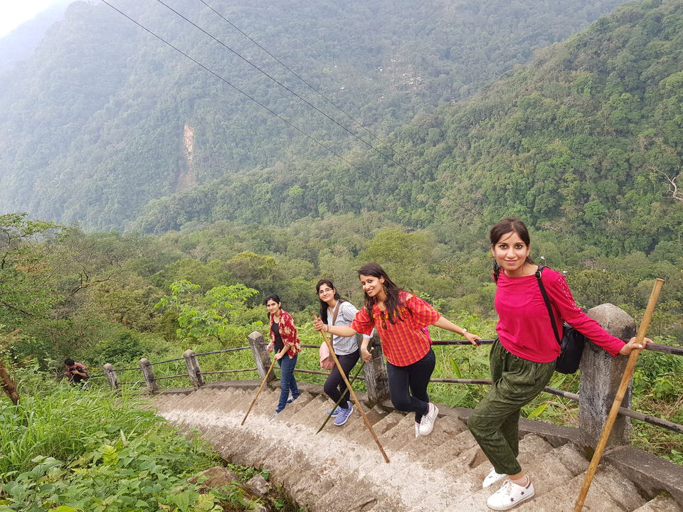 Photo of Double Decker Root Bridge-Let's do some exercise people 2/7 by 2itchyfeets