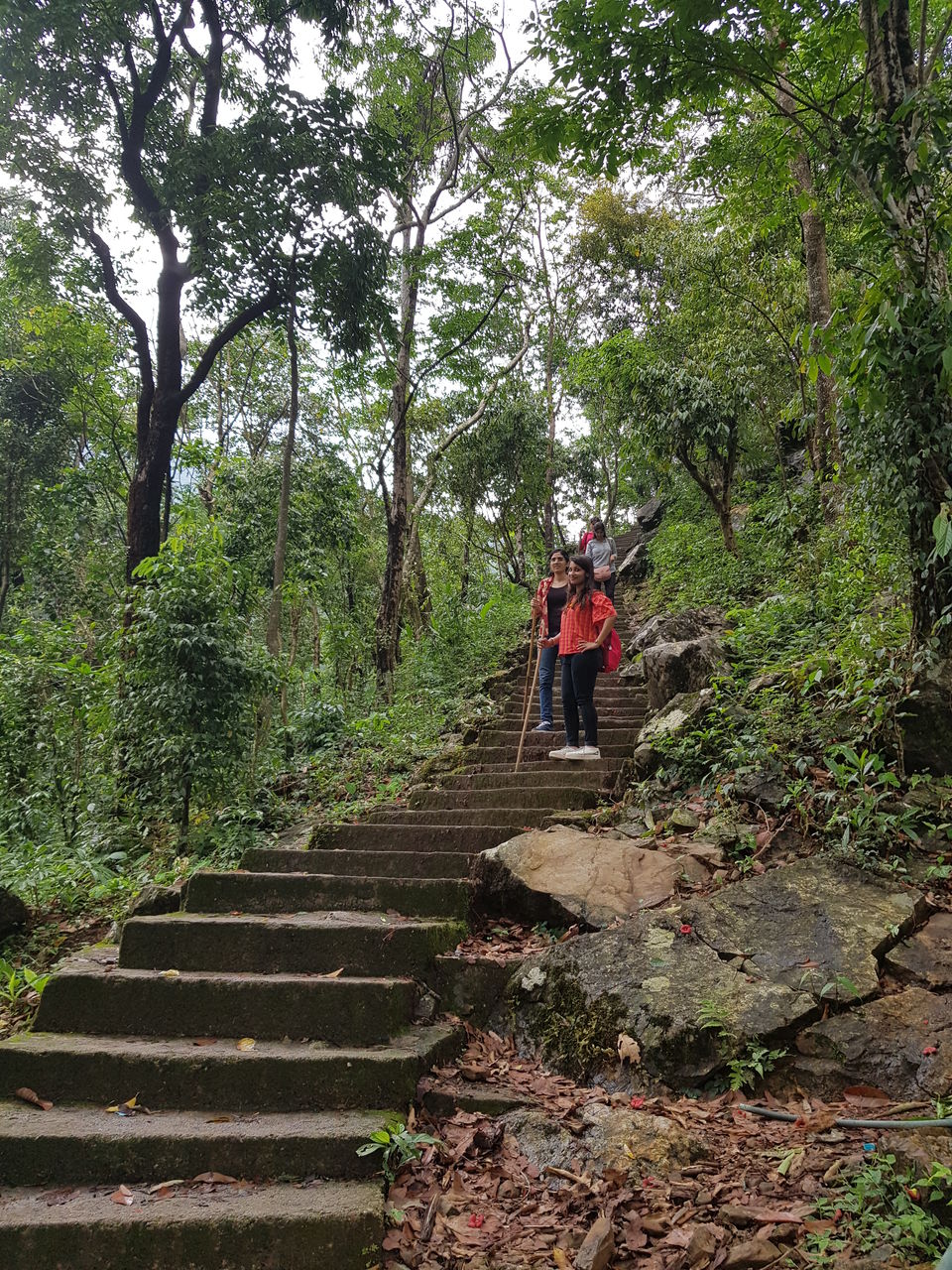 Photo of Double Decker Root Bridge-Let's do some exercise people 7/7 by 2itchyfeets