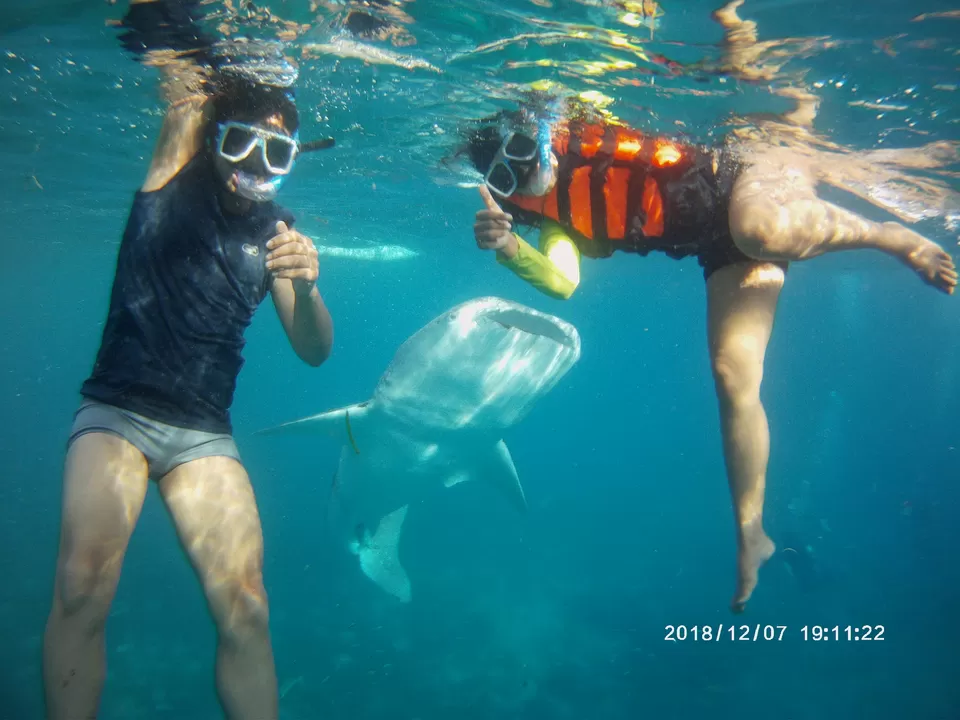 Photo of Oslob Whale Shark Watching, Natalio Bacalso Avenue, Oslob, Cebu, Philippines by 2itchyfeets