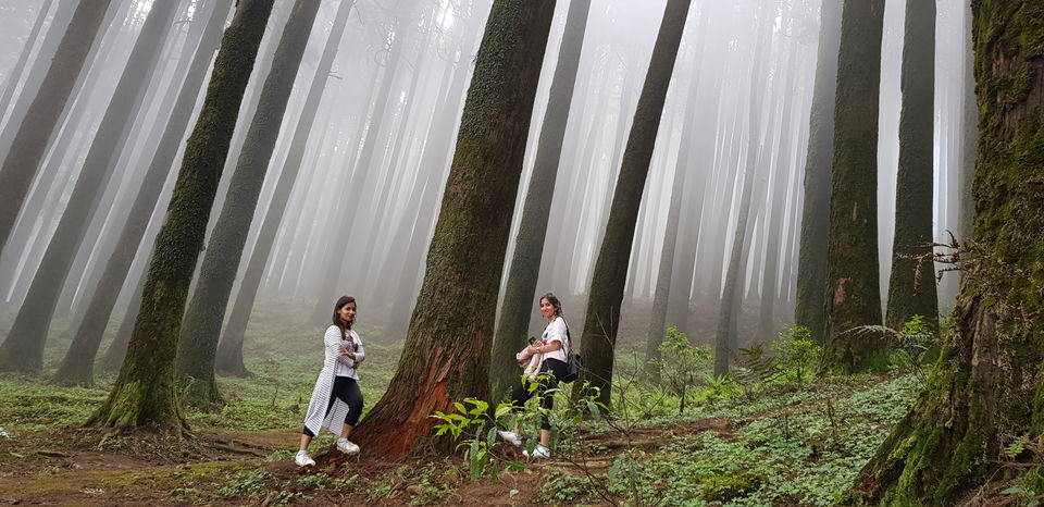 Photo of A tale of amazing experience - Tonglu Trek 1/1 by 2itchyfeets