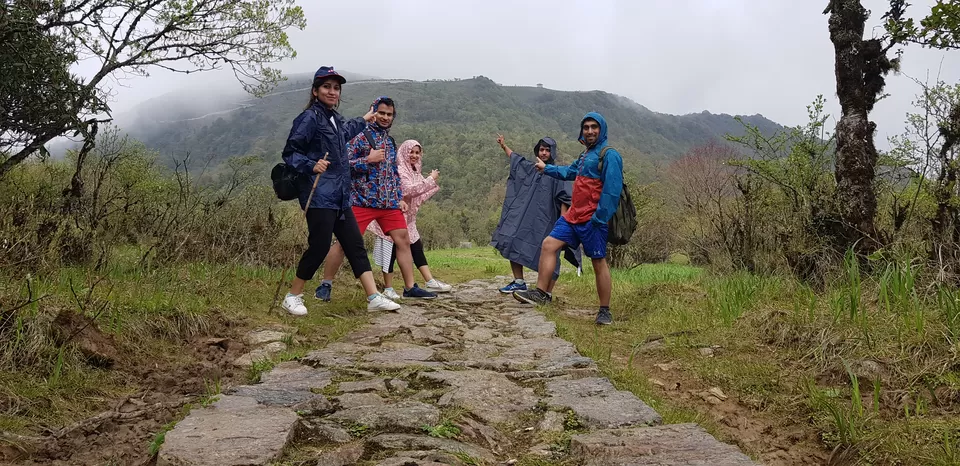 Photo of A tale of amazing experience - Tonglu Trek by 2itchyfeets
