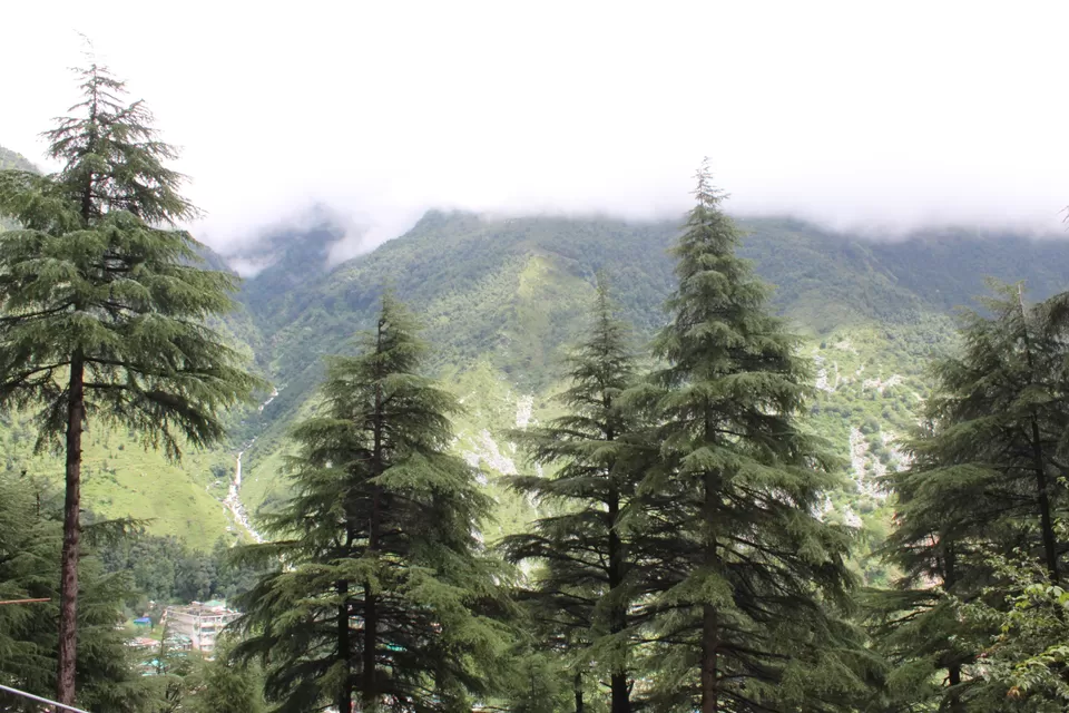 Photo of McLeodganj Market, McLeod Ganj, Dharamshala, Himachal Pradesh, India by 2itchyfeets