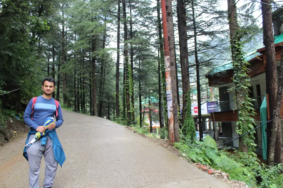 Photo of McLeodganj Market, McLeod Ganj, Dharamshala, Himachal Pradesh, India by 2itchyfeets