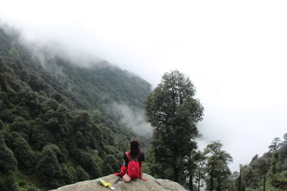 Photo of Triund Trek Check Point, Trail to Triund Hill, Himachal Pradesh, India by 2itchyfeets