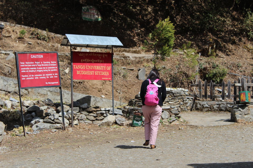 Photo of Tango Buddhist College, Thimphu, Bhutan by 2itchyfeets