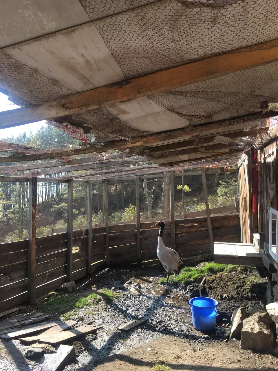 Photo of All you want to know about Phobjikha in Bhutan by 2itchyfeets