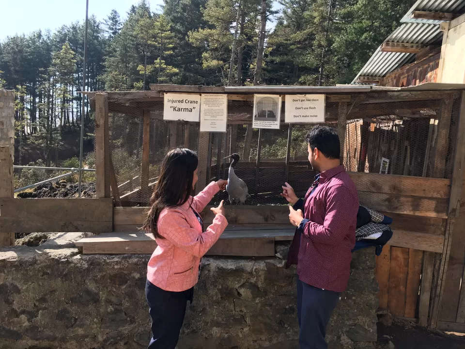 Photo of All you want to know about Phobjikha in Bhutan by 2itchyfeets