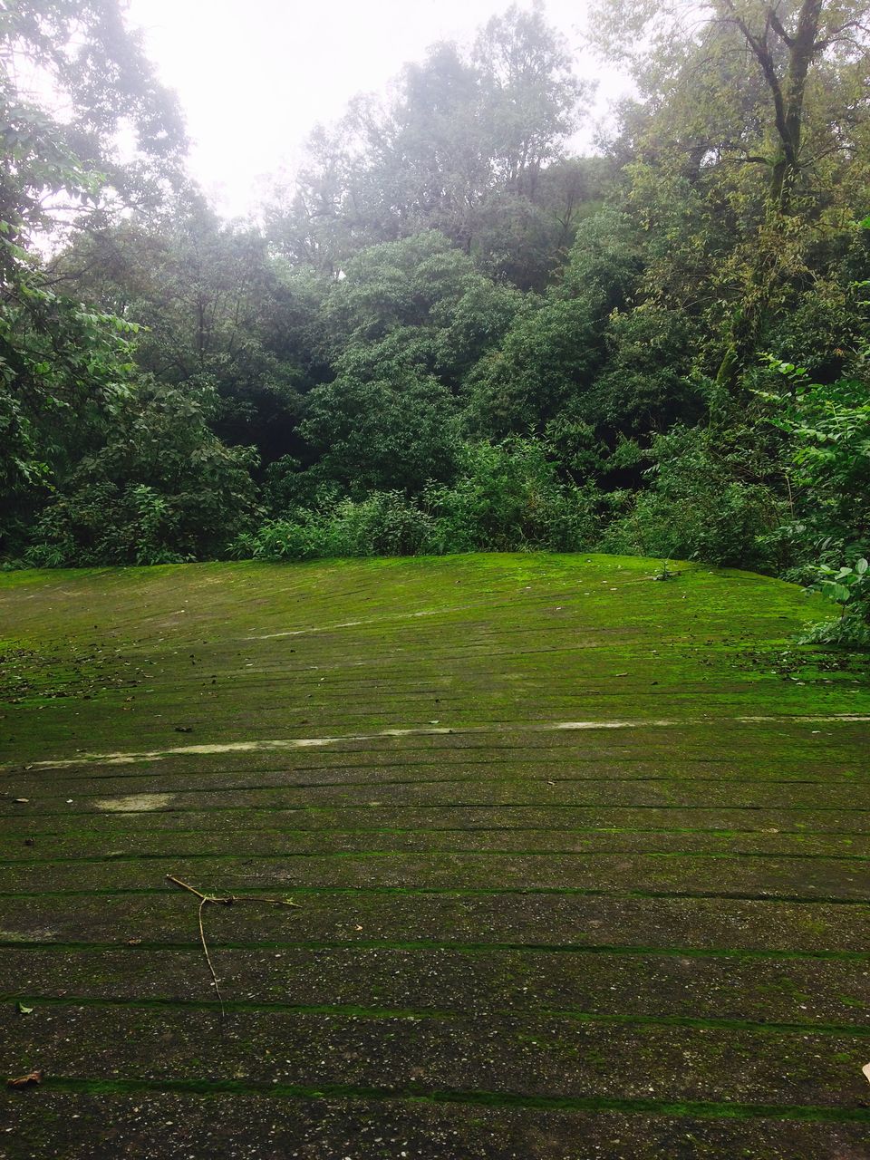 Photo of A Non-trip to Chakrata by Kajori Ray