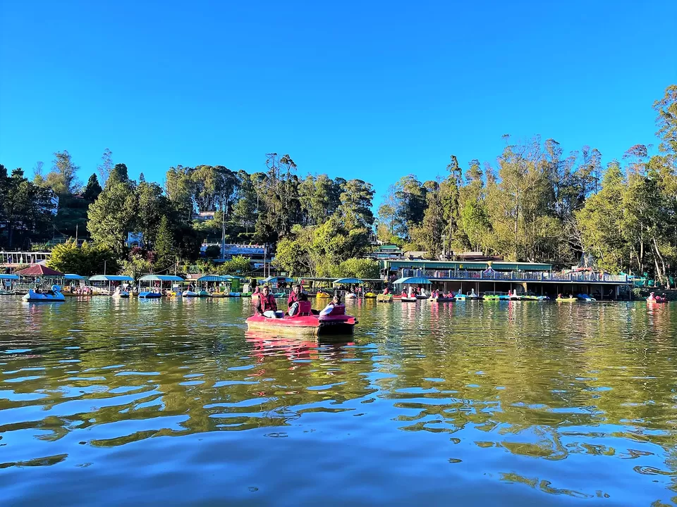 Photo of This is how boating at the Ooty Lake on a winter sunset feels like, during the golden hour! by Hemanth Bhargav Murthy (Hemuu)