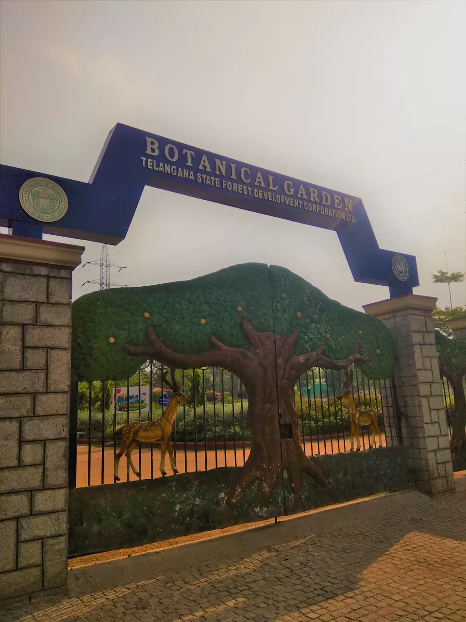 Photo of Botanical Garden, Kondapur, Hyderabad, Telangana, India by Hemanth Bhargav Murthy (Hemuu) 