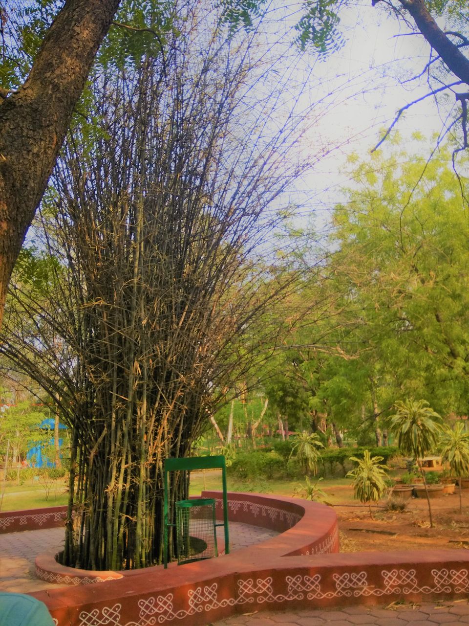 Photo of Spend an Evening to witness the beautiful sunset in Botanical Garden of Hyderabad... by Hemanth Bhargav Murthy (Hemuu)