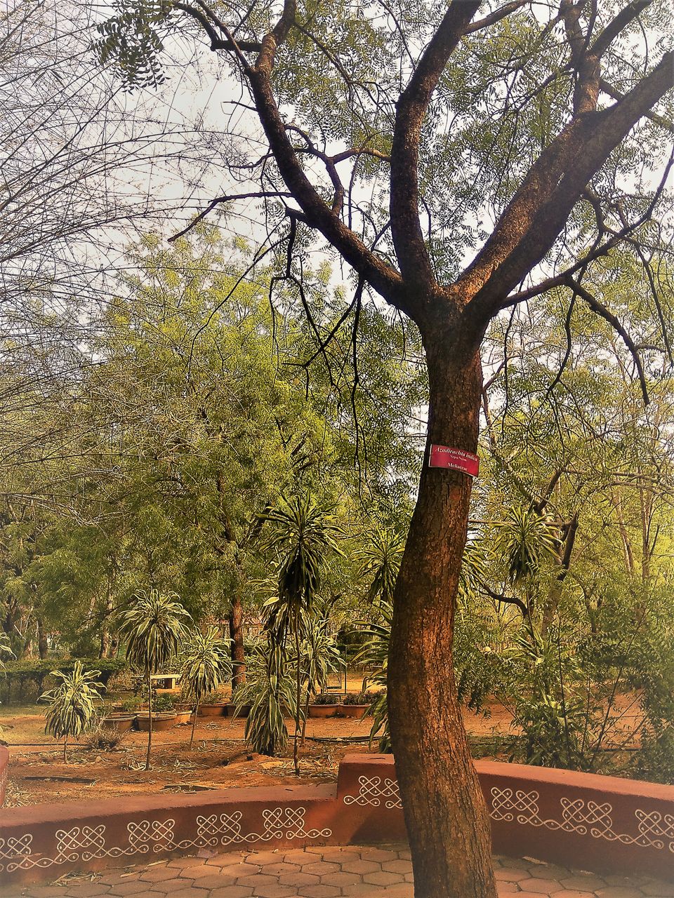 Photo of Spend an Evening to witness the beautiful sunset in Botanical Garden of Hyderabad... by Hemanth Bhargav Murthy (Hemuu)