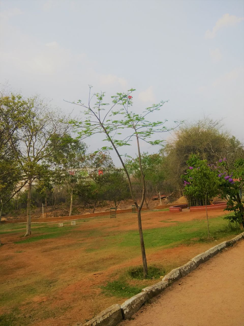Photo of Spend an Evening to witness the beautiful sunset in Botanical Garden of Hyderabad... by Hemanth Bhargav Murthy (Hemuu)