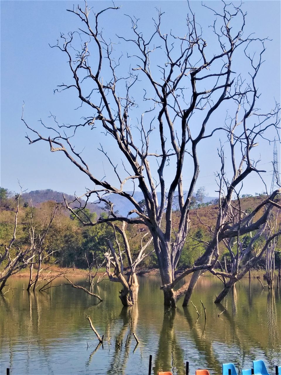 Photo of Boating on a lake water between the dead trees in Andhra Pradesh! by Hemanth Bhargav Murthy (Hemuu)