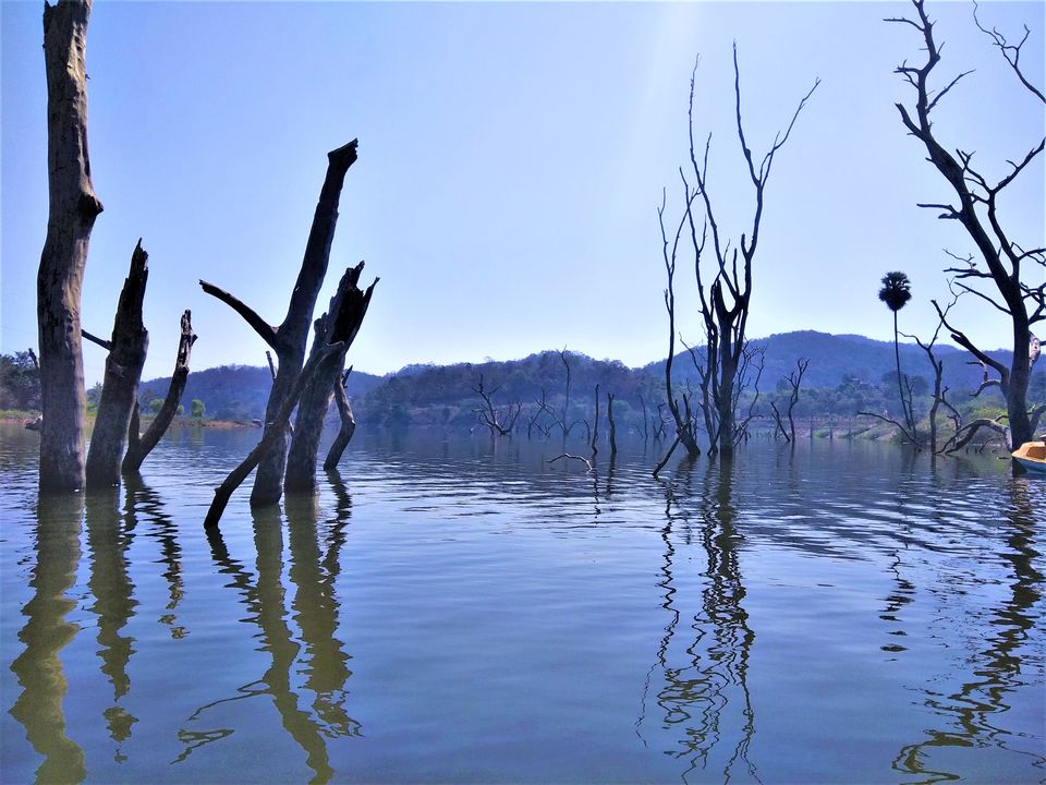 Photo of Boating on a lake water between the dead trees in Andhra Pradesh! by Hemanth Bhargav Murthy (Hemuu)