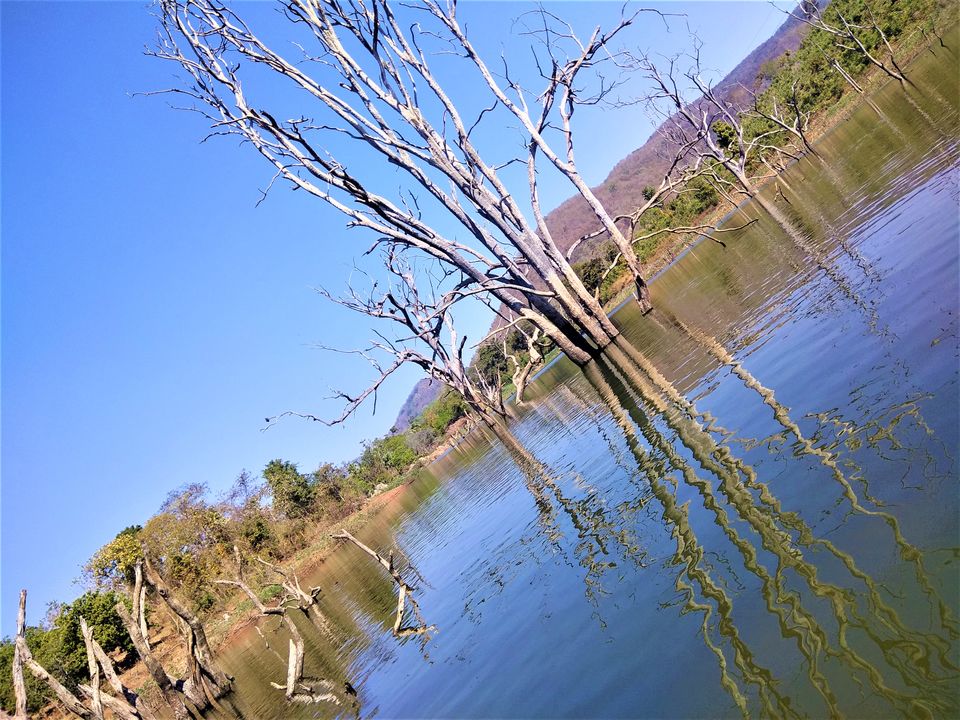 Photo of Boating on a lake water between the dead trees in Andhra Pradesh! by Hemanth Bhargav Murthy (Hemuu)