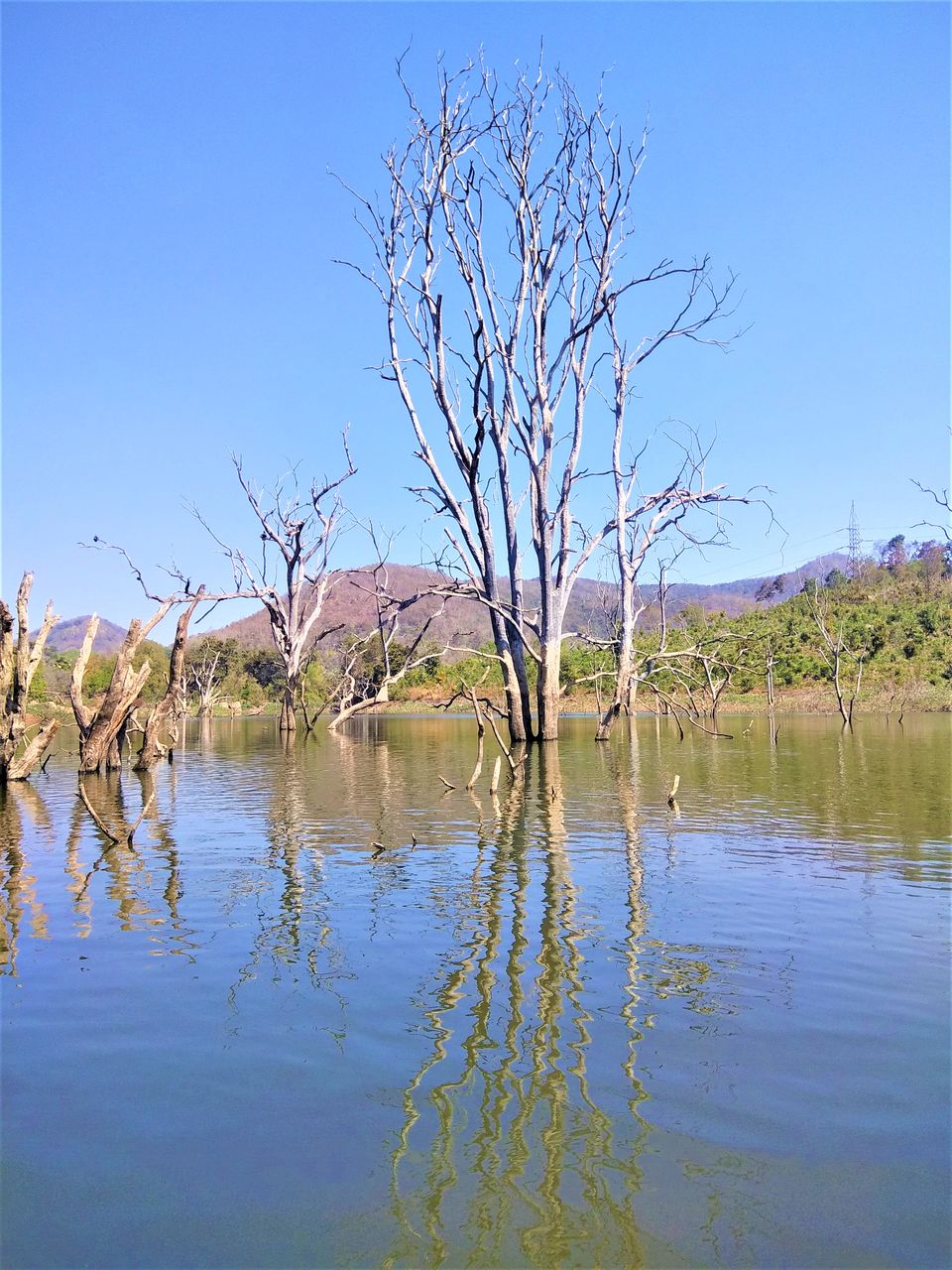 Photo of Boating on a lake water between the dead trees in Andhra Pradesh! by Hemanth Bhargav Murthy (Hemuu)
