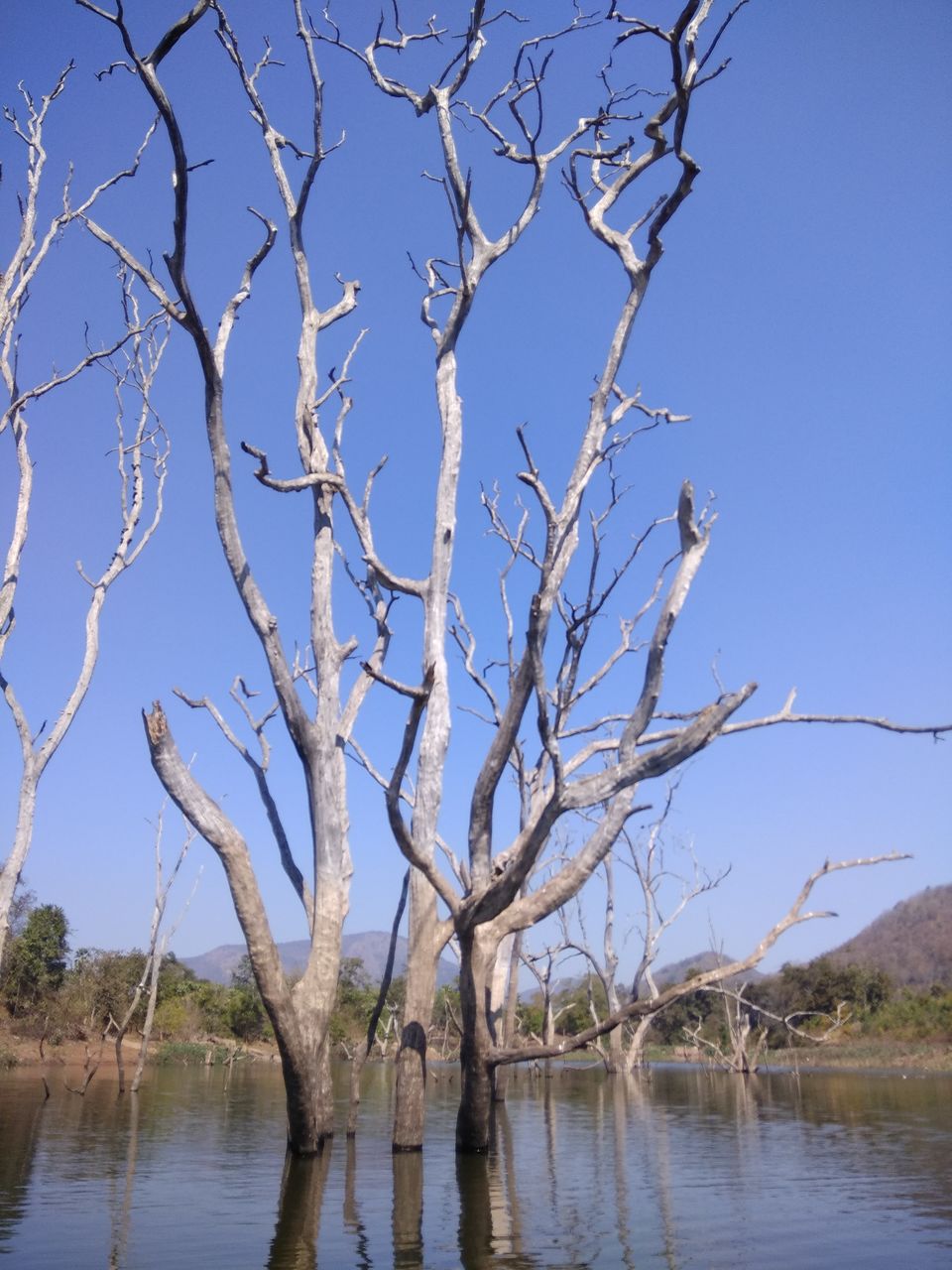 Photo of Boating on a lake water between the dead trees in Andhra Pradesh! by Hemanth Bhargav Murthy (Hemuu)