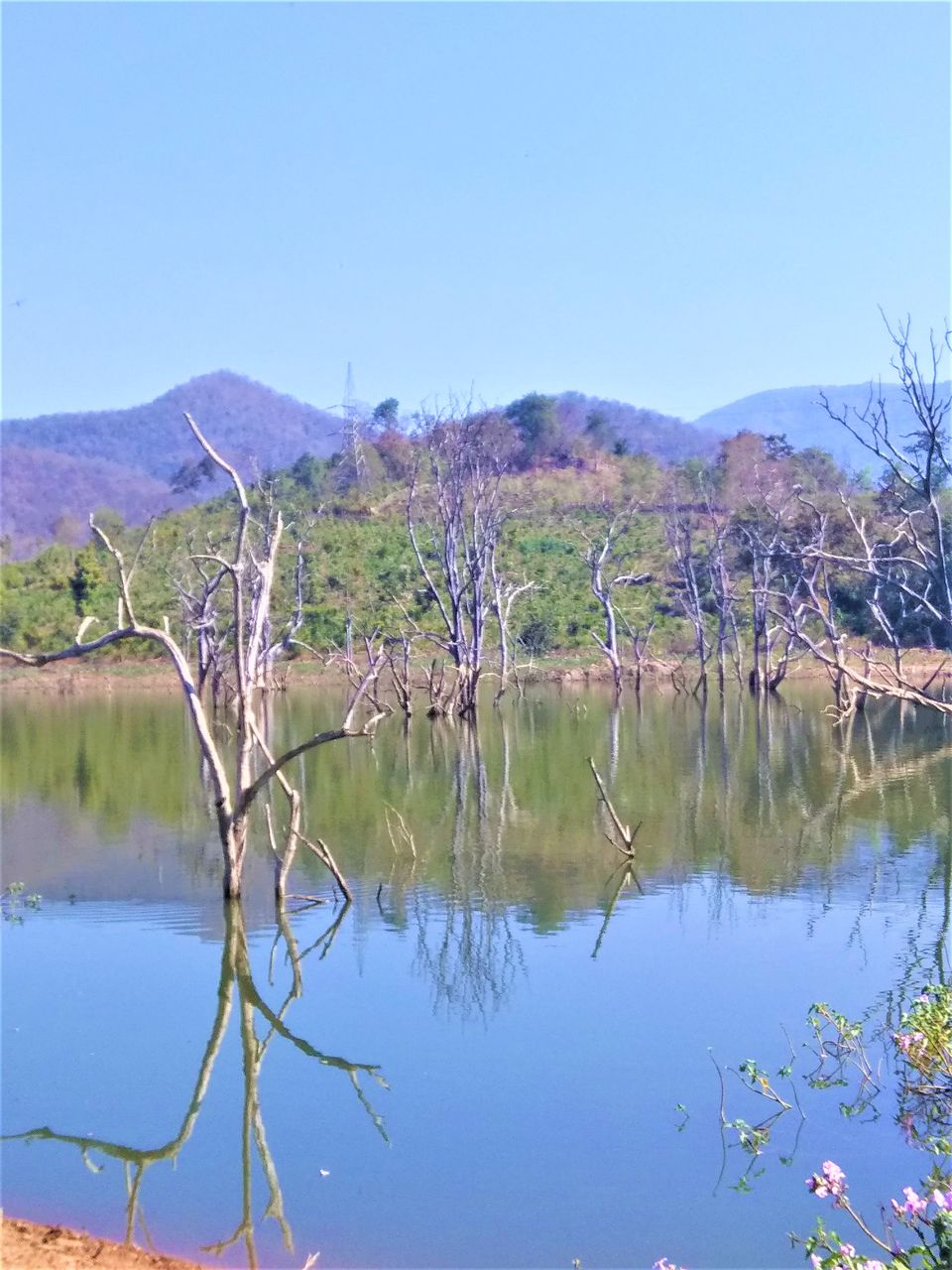 Photo of Boating on a lake water between the dead trees in Andhra Pradesh! by Hemanth Bhargav Murthy (Hemuu)