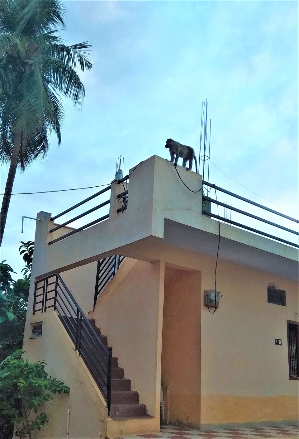 Photo of The Mystery of Mahanandi is Mesmerizing, Nandyal. by Hemanth Bhargav Murthy (Hemuu)