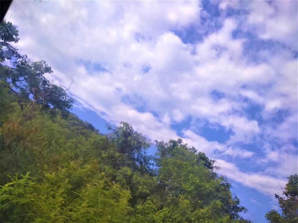 Photo of Exploring the Ghat Roads of Nallamalla Hills was Chilling yet Captivating... by Hemanth Bhargav Murthy