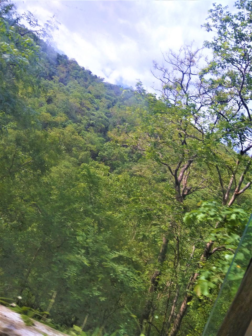 Photo of Exploring the Ghat Roads of Nallamalla Hills was Chilling yet Captivating... by Hemanth Bhargav Murthy