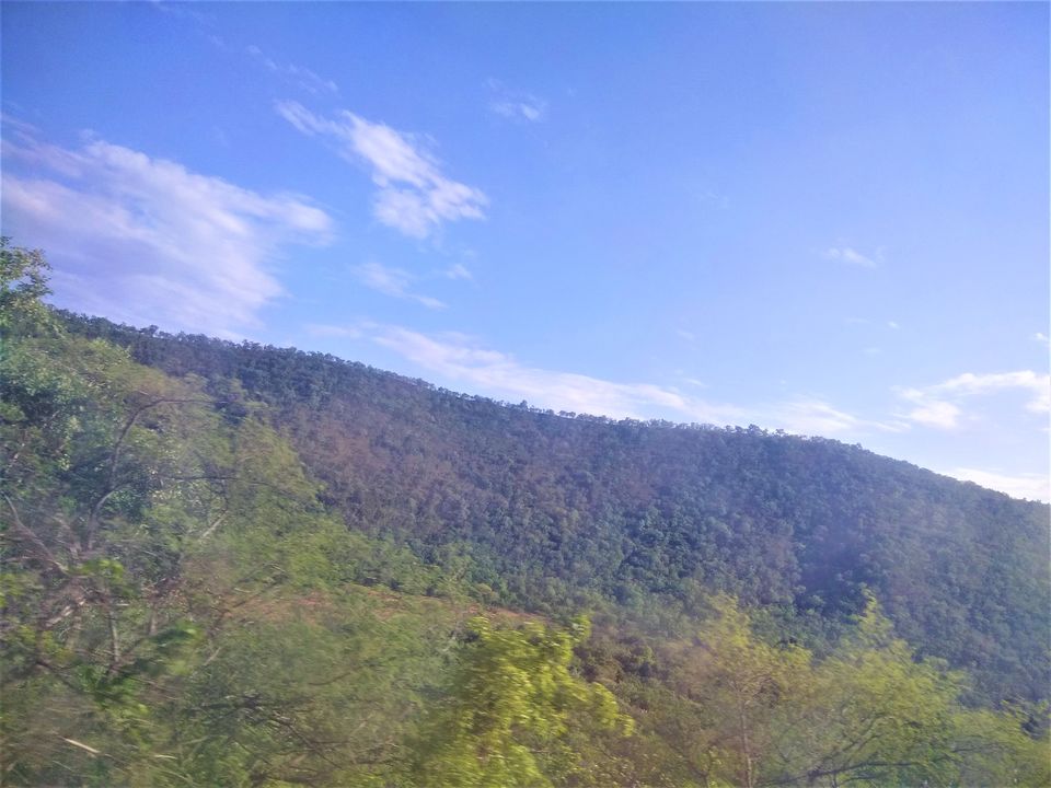 Photo of Exploring the Ghat Roads of Nallamalla Hills was Chilling yet Captivating... by Hemanth Bhargav Murthy