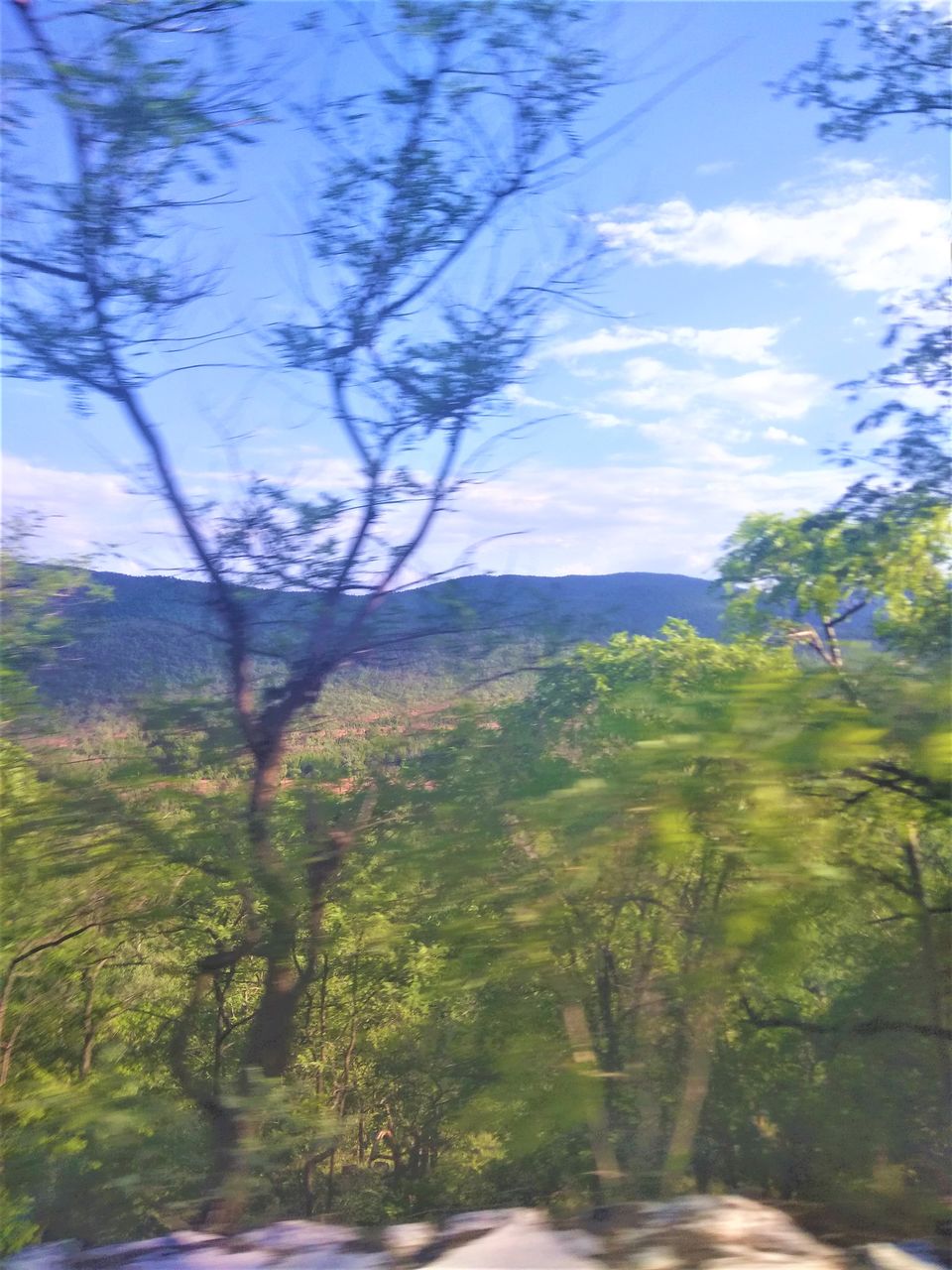 Photo of Exploring the Ghat Roads of Nallamalla Hills was Chilling yet Captivating... by Hemanth Bhargav Murthy