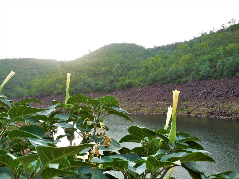 Photo of The complete description of the beauty of the Paatala Ganga Lake, Srisailam. 5/11 by Hemanth Bhargav Murthy (Hemuu)