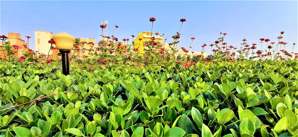 Photo of Experience the Palatial vibes from the contemporary hotel of Puri - Mahodadhi Palace!! 10/15 by Hemanth Bhargav Murthy (Hemuu)