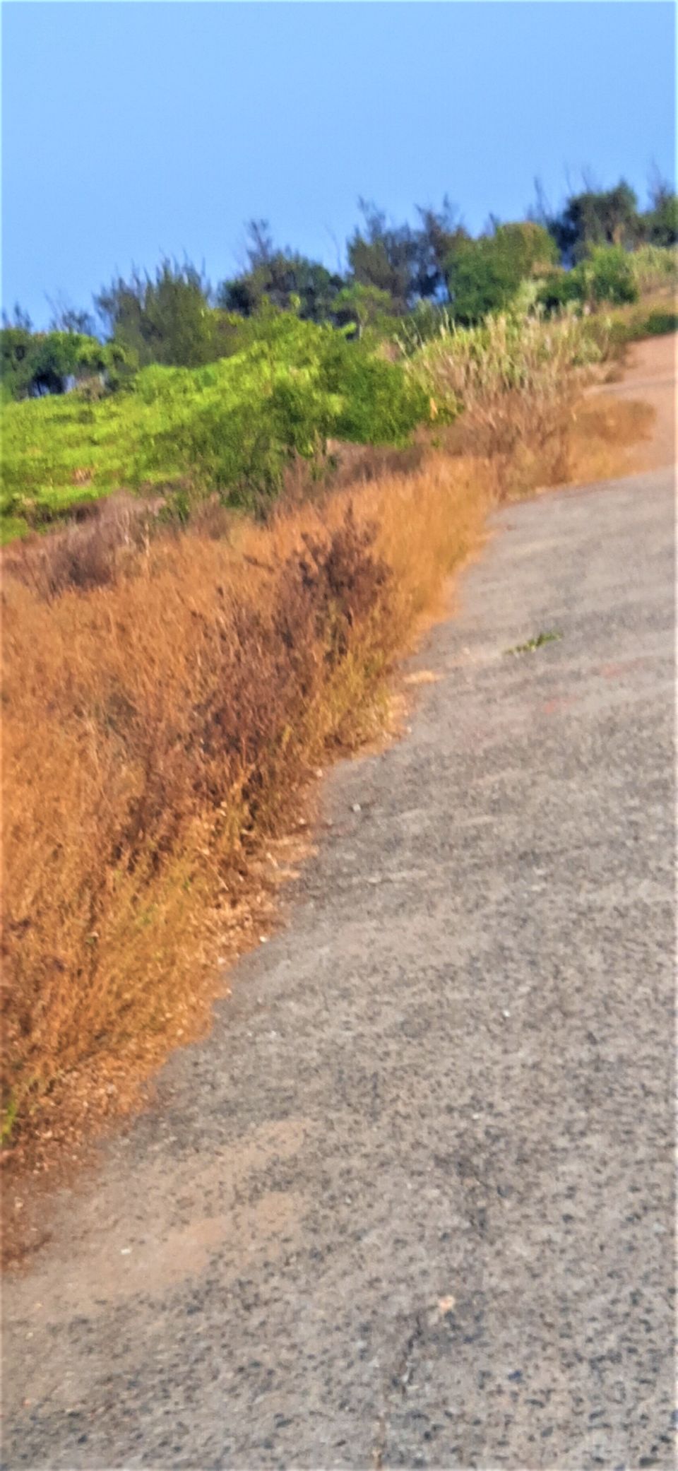 Photo of A bike ride to the Nemmeli and Kovalam beaches by exploring the East Coast road of Chennai. by Hemanth Bhargav Murthy (Hemuu)