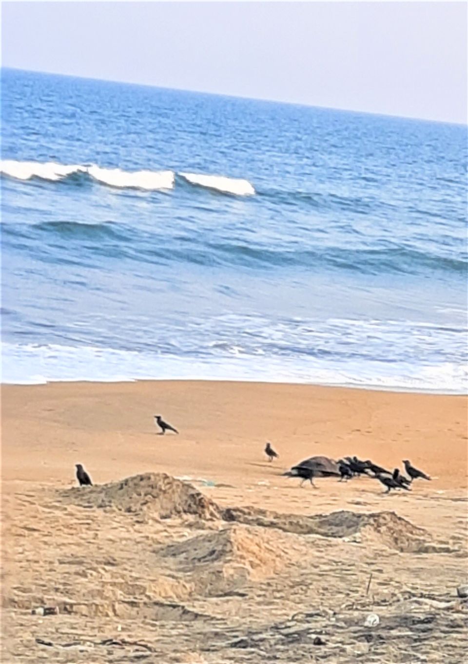 Photo of A bike ride to the Nemmeli and Kovalam beaches by exploring the East Coast road of Chennai. by Hemanth Bhargav Murthy (Hemuu)