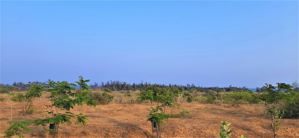 Photo of A bike ride to the Nemmeli and Kovalam beaches by exploring the East Coast road of Chennai. 4/4 by Hemanth Bhargav Murthy (Hemuu)